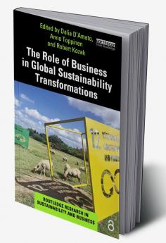 Role of Business in Global Sustainability Transformations