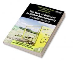 Role of Business in Global Sustainability Transformations