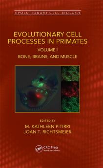 Evolutionary Cell Processes in Primates