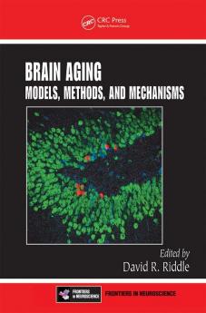 Brain Aging