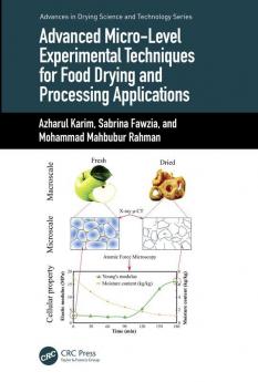 Advanced Micro-Level Experimental Techniques for Food Drying and Processing Applications