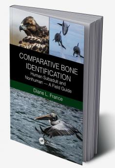 Comparative Bone Identification