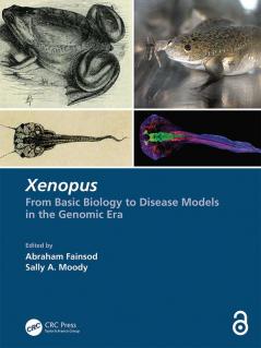 Xenopus