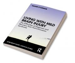 Living with Mild Brain Injury