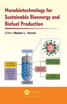 Nanobiotechnology for Sustainable Bioenergy and Biofuel Production