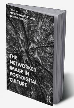 Networked Image in Post-Digital Culture