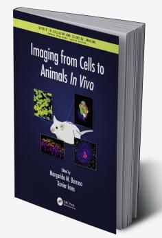 Imaging from Cells to Animals In Vivo