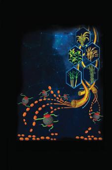 Bioethanol and Natural Resources