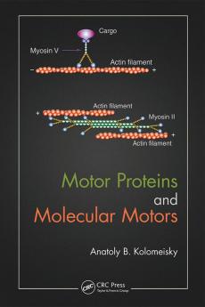 Motor Proteins and Molecular Motors