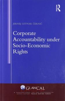 Corporate Accountability under Socio-Economic Rights