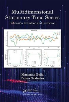 Multidimensional Stationary Time Series