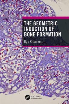 Geometric Induction of Bone Formation