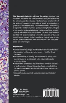 Geometric Induction of Bone Formation