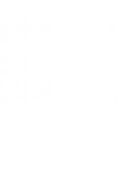 International Peacebuilding and Local Involvement