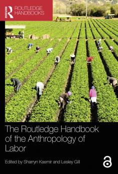 Routledge Handbook of the Anthropology of Labor