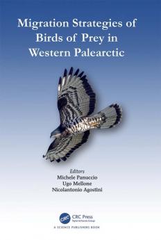 Migration Strategies of Birds of Prey in Western Palearctic