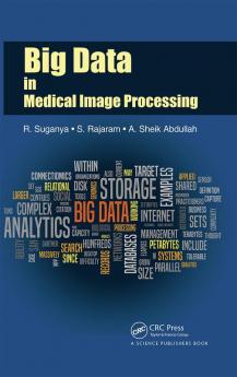 Big Data in Medical Image Processing