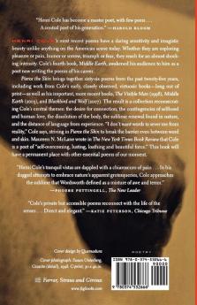 Pierce the Skin: Selected Poems 1982-2007
