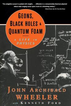 Geons Black Holes and Quantum Foam