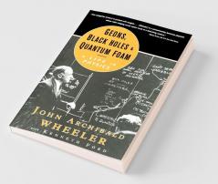 Geons Black Holes and Quantum Foam