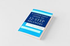 A Clinician's Guide to 12-Step Recovery
