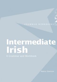 Intermediate Irish: A Grammar and Workbook