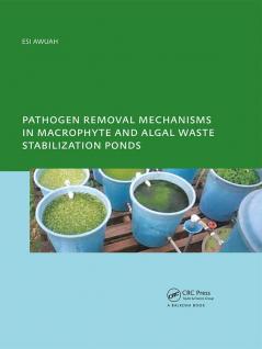 Pathogen Removal Mechanisms in Macrophyte and Algal Waste Stabilization Ponds