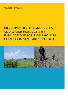 Conservation Tillage Systems and Water Productivity - Implications for Smallholder Farmers in Semi-Arid Ethiopia