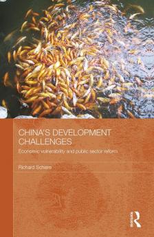 China's Development Challenges
