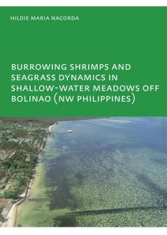 Burrowing Shrimps and Seagrass Dynamics in Shallow-Water Meadows off Bolinao (New Philippines)
