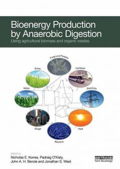 Bioenergy Production by Anaerobic Digestion