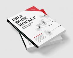 International Social Work Practice