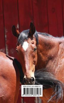Kids Petite Equine Journal