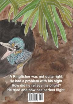 Kingi The Cross-Eyed Kingfisher: (or Never Give Up)