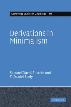 Derivations in Minimalism