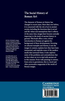 The Social History of Roman Art