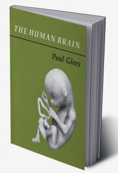 The Human Brain