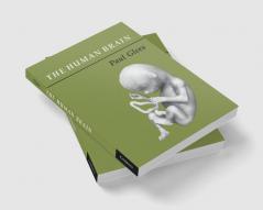 The Human Brain