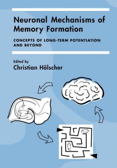 Neuronal Mechanisms of Memory Formation