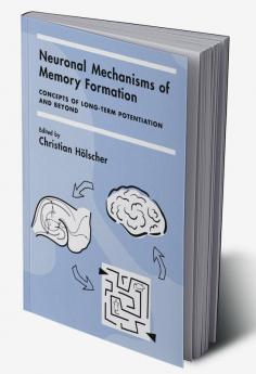 Neuronal Mechanisms of Memory Formation