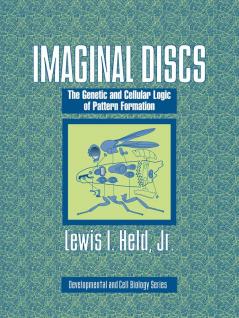 Imaginal Discs