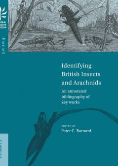 Identifying British Insects and Arachnids