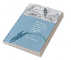 Identifying British Insects and Arachnids