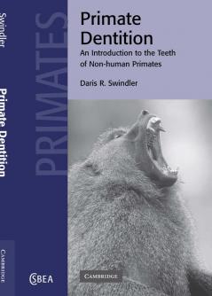 Primate Dentition