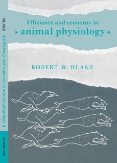 Efficiency and Economy in Animal Physiology