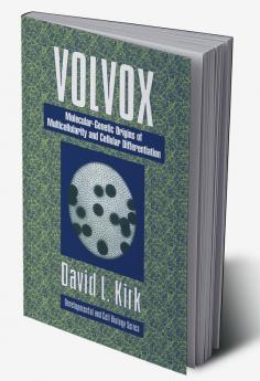 Volvox