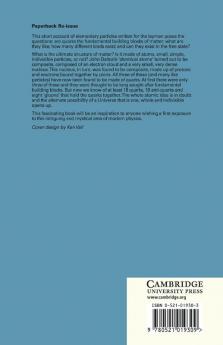 The Quest for Quarks