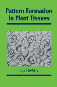 Pattern Formation in Plant Tissues