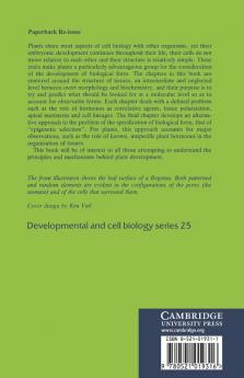 Pattern Formation in Plant Tissues