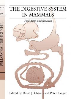 The Digestive System in Mammals